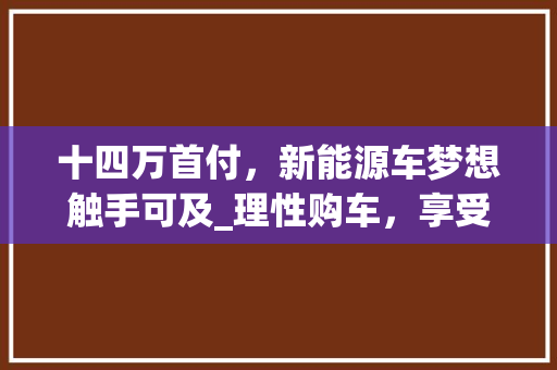 十四万首付，新能源车梦想触手可及_理性购车，享受绿色出行