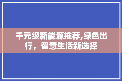 千元级新能源推荐,绿色出行，智慧生活新选择