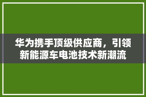 华为携手顶级供应商，引领新能源车电池技术新潮流