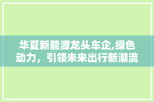 华夏新能源龙头车企,绿色动力，引领未来出行新潮流