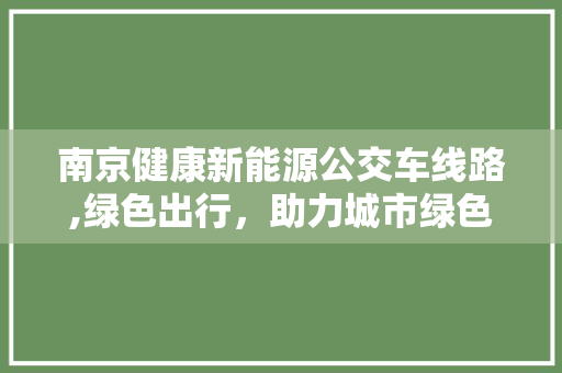 南京健康新能源公交车线路,绿色出行，助力城市绿色发展