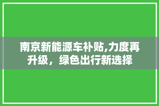 南京新能源车补贴,力度再升级，绿色出行新选择