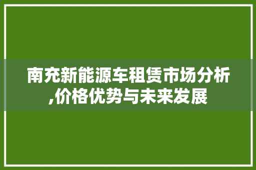 南充新能源车租赁市场分析,价格优势与未来发展
