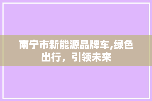 南宁市新能源品牌车,绿色出行，引领未来