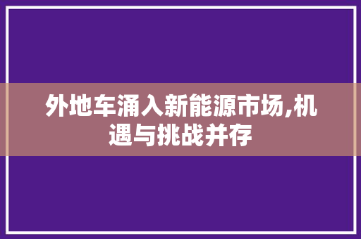 外地车涌入新能源市场,机遇与挑战并存