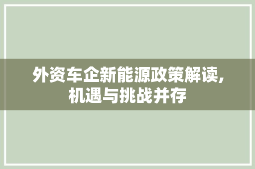 外资车企新能源政策解读,机遇与挑战并存