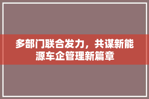 多部门联合发力，共谋新能源车企管理新篇章