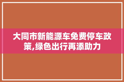 大同市新能源车免费停车政策,绿色出行再添助力