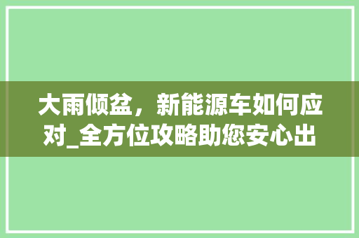大雨倾盆，新能源车如何应对_全方位攻略助您安心出行