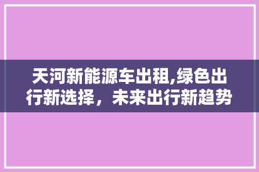天河新能源车出租,绿色出行新选择，未来出行新趋势