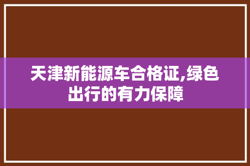 天津新能源车合格证,绿色出行的有力保障