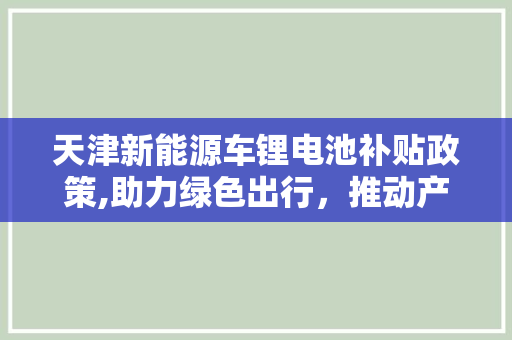 天津新能源车锂电池补贴政策,助力绿色出行，推动产业升级