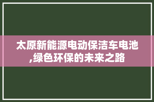 太原新能源电动保洁车电池,绿色环保的未来之路
