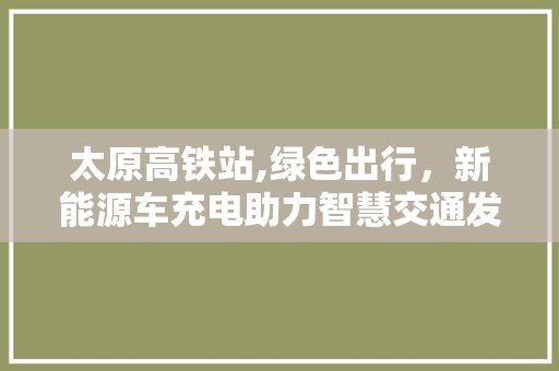 太原高铁站,绿色出行，新能源车充电助力智慧交通发展