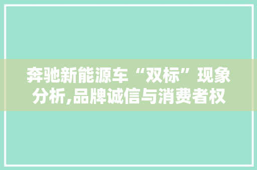 奔驰新能源车“双标”现象分析,品牌诚信与消费者权益的较量