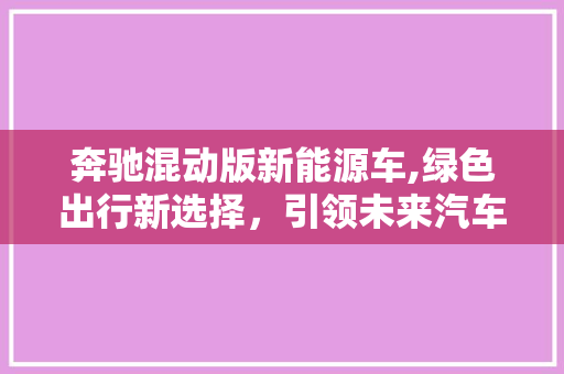 奔驰混动版新能源车,绿色出行新选择，引领未来汽车潮流