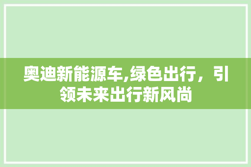 奥迪新能源车,绿色出行，引领未来出行新风尚