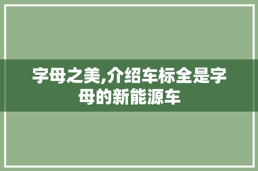 字母之美,介绍车标全是字母的新能源车