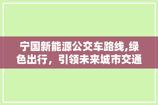 宁国新能源公交车路线,绿色出行，引领未来城市交通新风尚