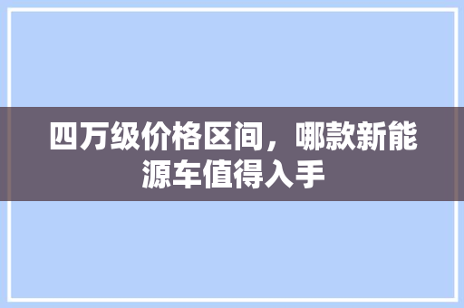 四万级价格区间，哪款新能源车值得入手