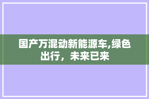 国产万混动新能源车,绿色出行，未来已来