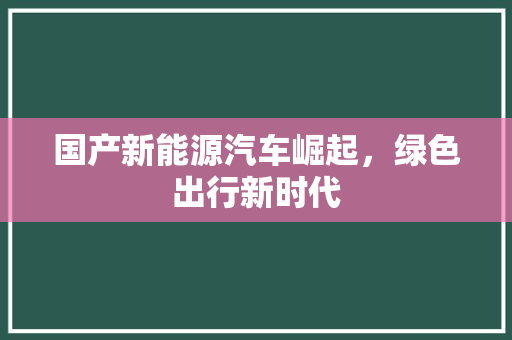 国产新能源汽车崛起，绿色出行新时代