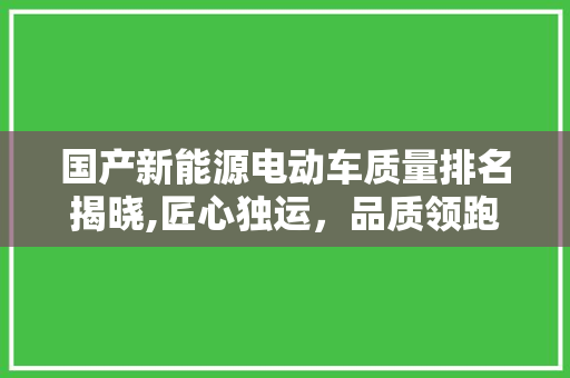 国产新能源电动车质量排名揭晓,匠心独运，品质领跑