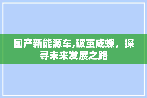 国产新能源车,破茧成蝶，探寻未来发展之路