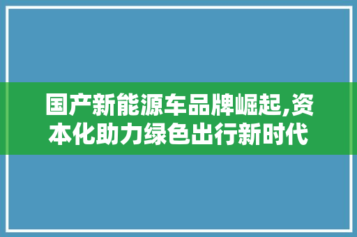 国产新能源车品牌崛起,资本化助力绿色出行新时代