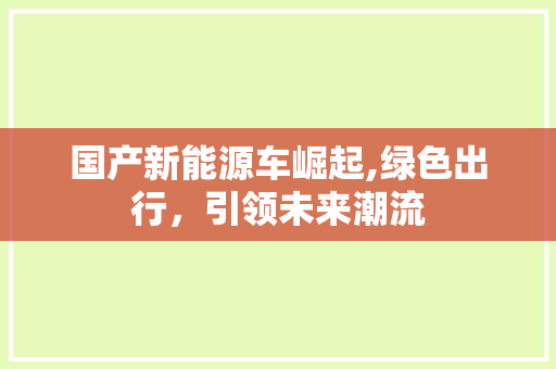 国产新能源车崛起,绿色出行，引领未来潮流