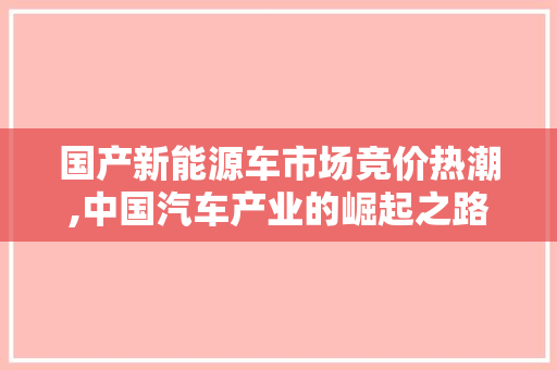 国产新能源车市场竞价热潮,中国汽车产业的崛起之路