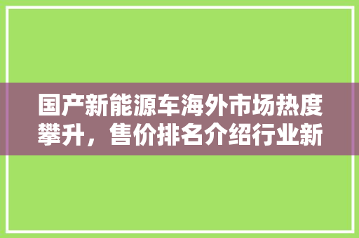 国产新能源车海外市场热度攀升，售价排名介绍行业新格局