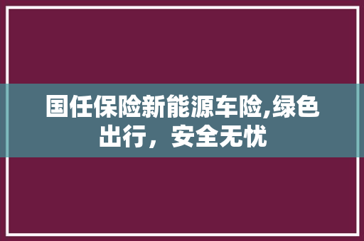 国任保险新能源车险,绿色出行，安全无忧