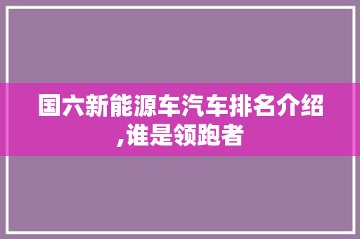 国六新能源车汽车排名介绍,谁是领跑者