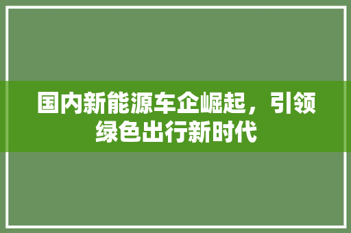 国内新能源车企崛起，引领绿色出行新时代