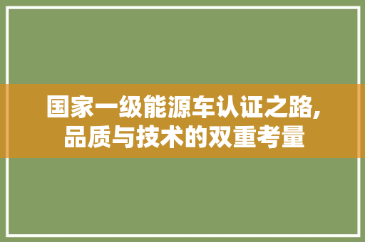国家一级能源车认证之路,品质与技术的双重考量