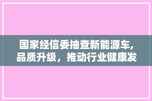 国家经信委抽查新能源车,品质升级，推动行业健康发展