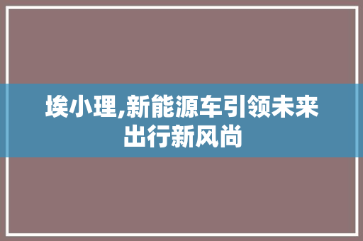 埃小理,新能源车引领未来出行新风尚