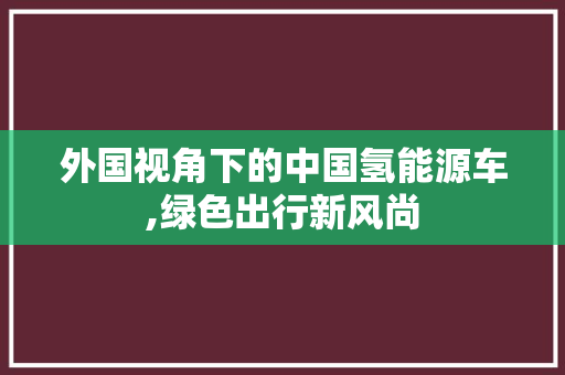 外国视角下的中国氢能源车,绿色出行新风尚