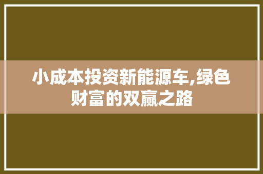 小成本投资新能源车,绿色财富的双赢之路
