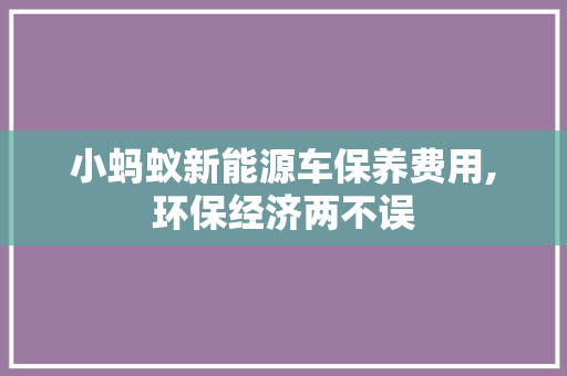 小蚂蚁新能源车保养费用,环保经济两不误