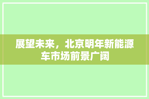 展望未来，北京明年新能源车市场前景广阔