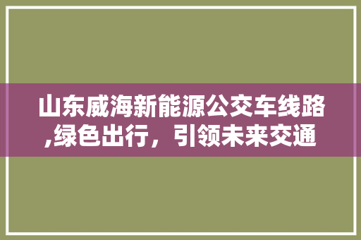 山东威海新能源公交车线路,绿色出行，引领未来交通潮流