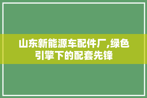 山东新能源车配件厂,绿色引擎下的配套先锋