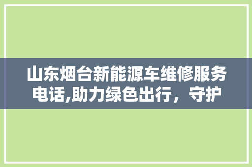 山东烟台新能源车维修服务电话,助力绿色出行，守护出行安全