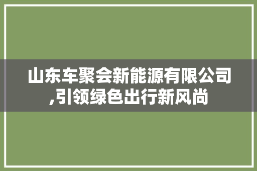 山东车聚会新能源有限公司,引领绿色出行新风尚