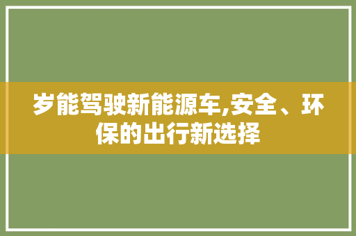岁能驾驶新能源车,安全、环保的出行新选择