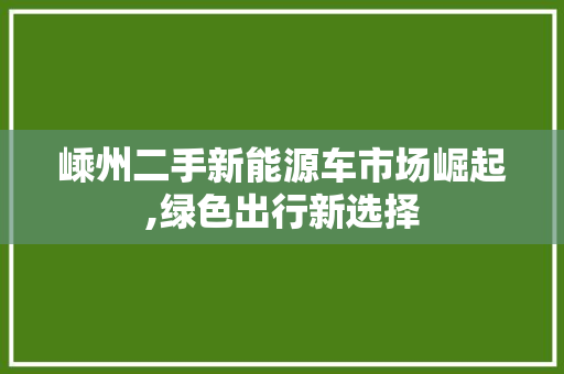 嵊州二手新能源车市场崛起,绿色出行新选择
