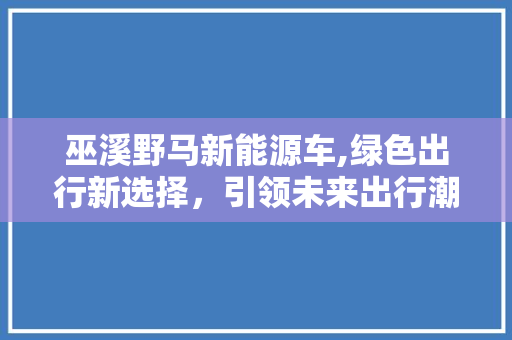 巫溪野马新能源车,绿色出行新选择，引领未来出行潮流