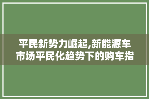 平民新势力崛起,新能源车市场平民化趋势下的购车指南